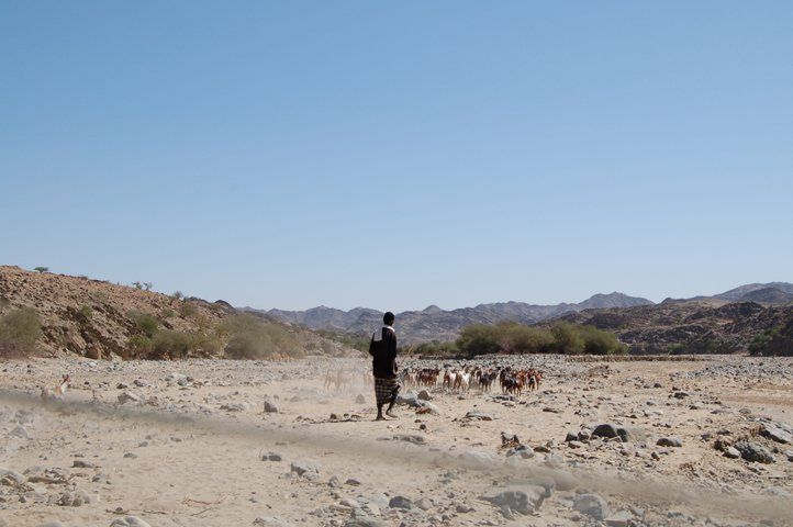 Regione Afar
