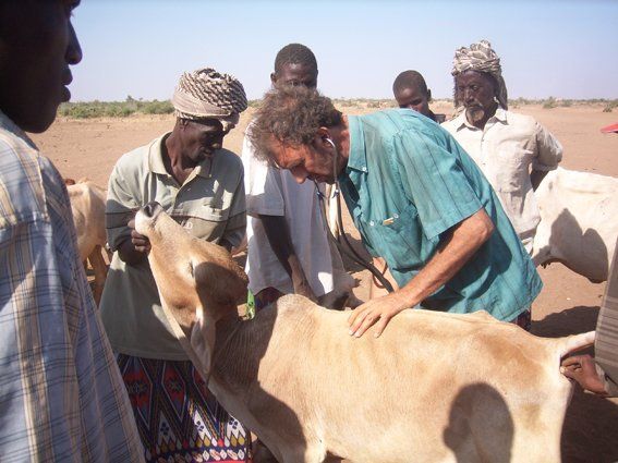 Etiopia · Pastori e animali della Regione Somala