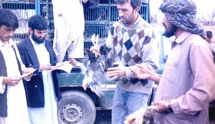 Etiopia · Pastori e animali della Regione Somala