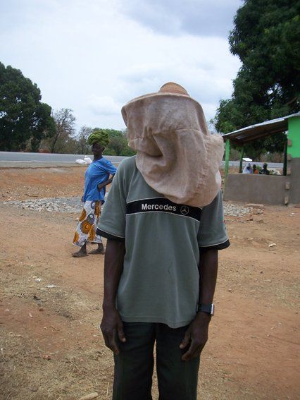 Ghana · Apicoltura nelle aree protette