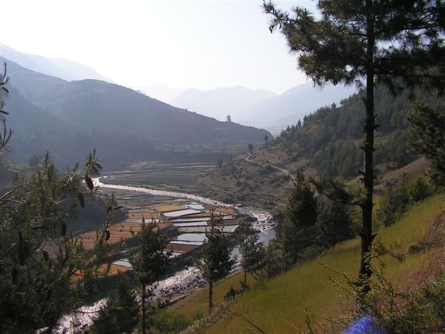 Nepal